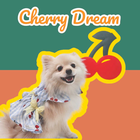 Cherry Dream Couple Harness