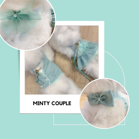 Minty Couple Harness