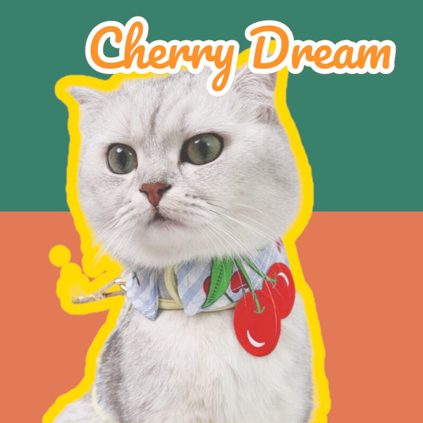 Cherry Dream Couple Harness