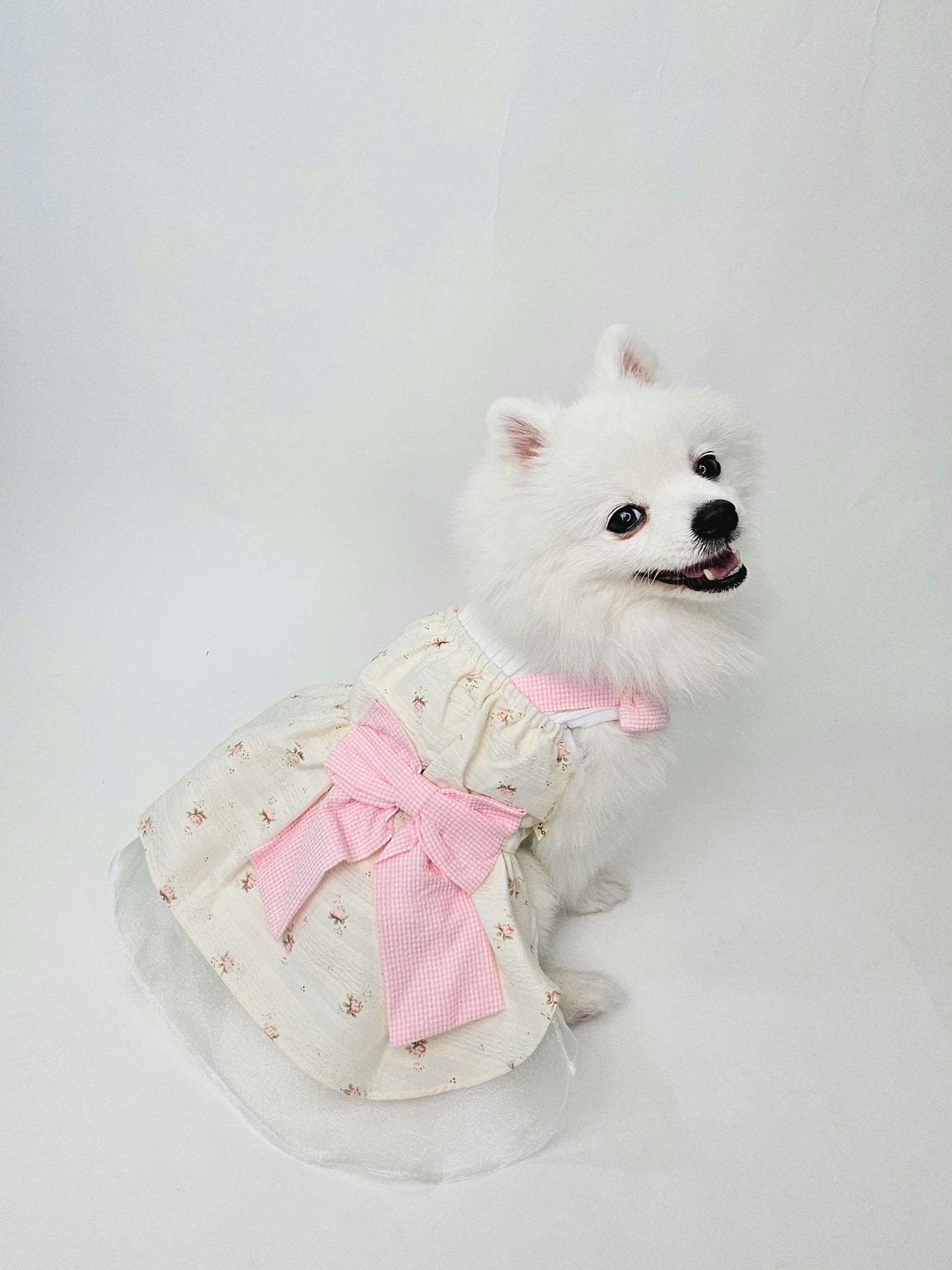 Rosy Milk Dress