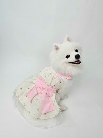 Rosy Milk Dress