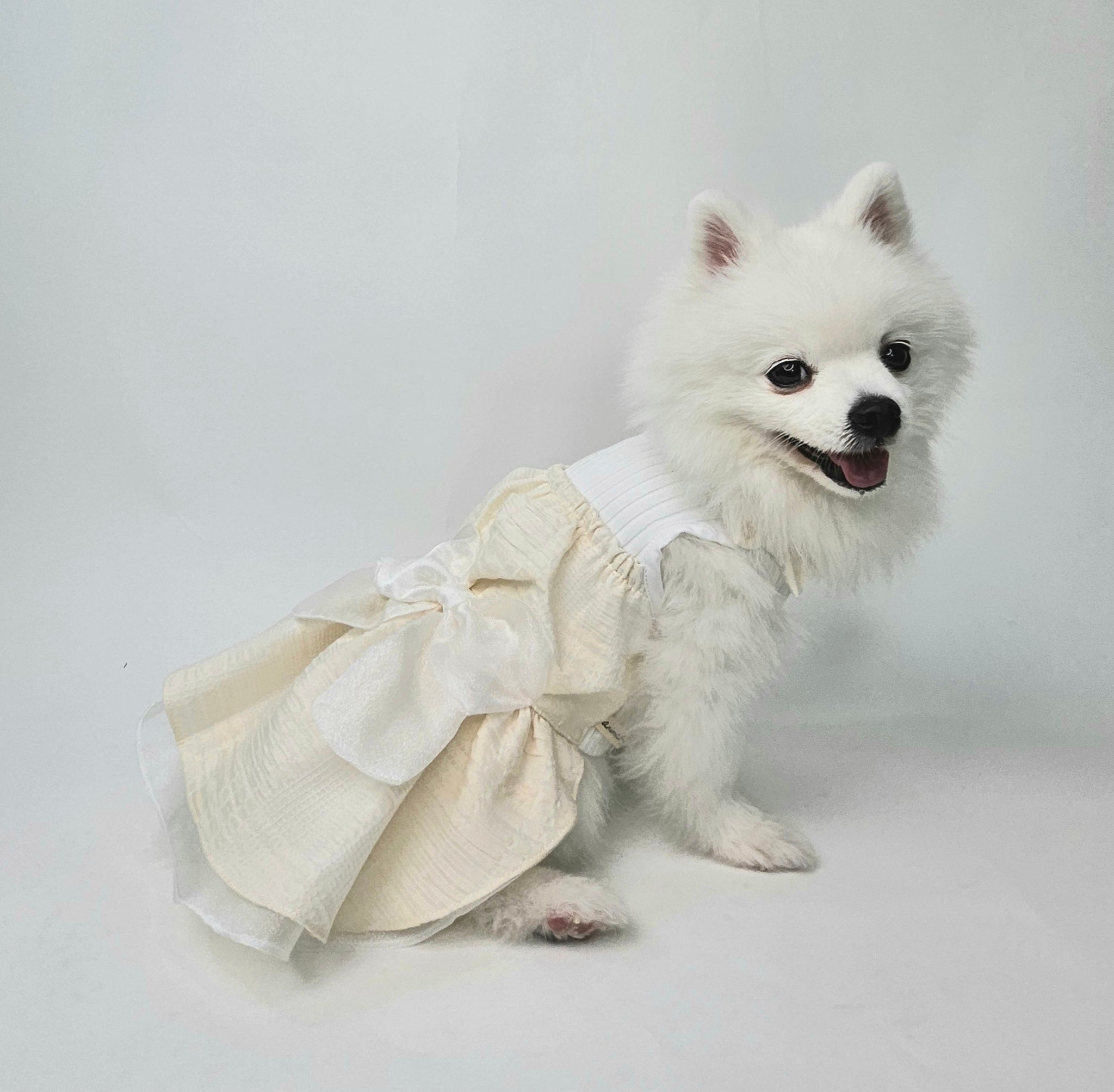 Creamy Bell Dress