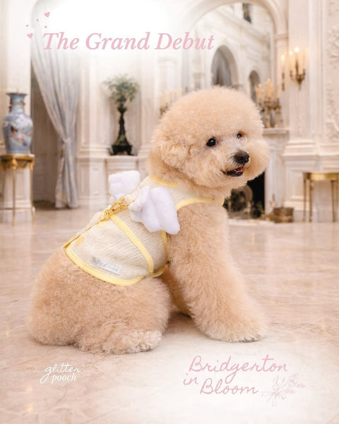 Bridgerton In Bloom Boy Collection