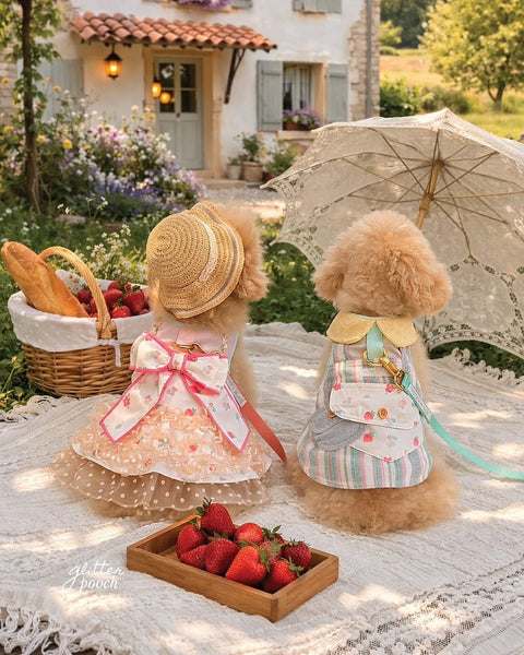 Strawberry Farm Harness Collection