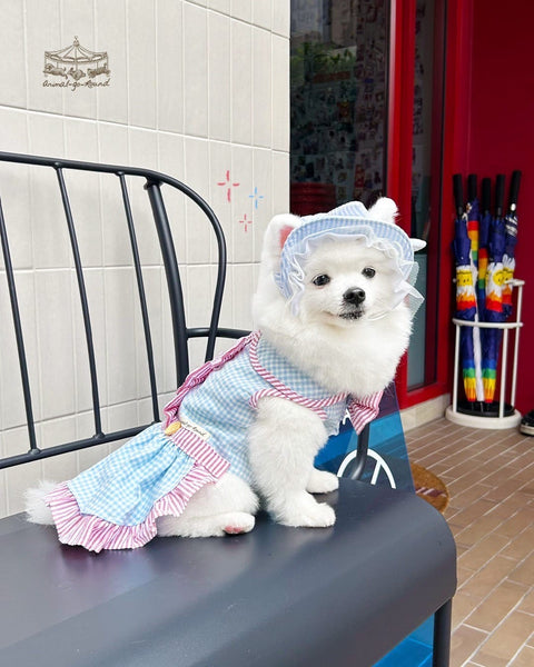 Hampton Holiday Couple