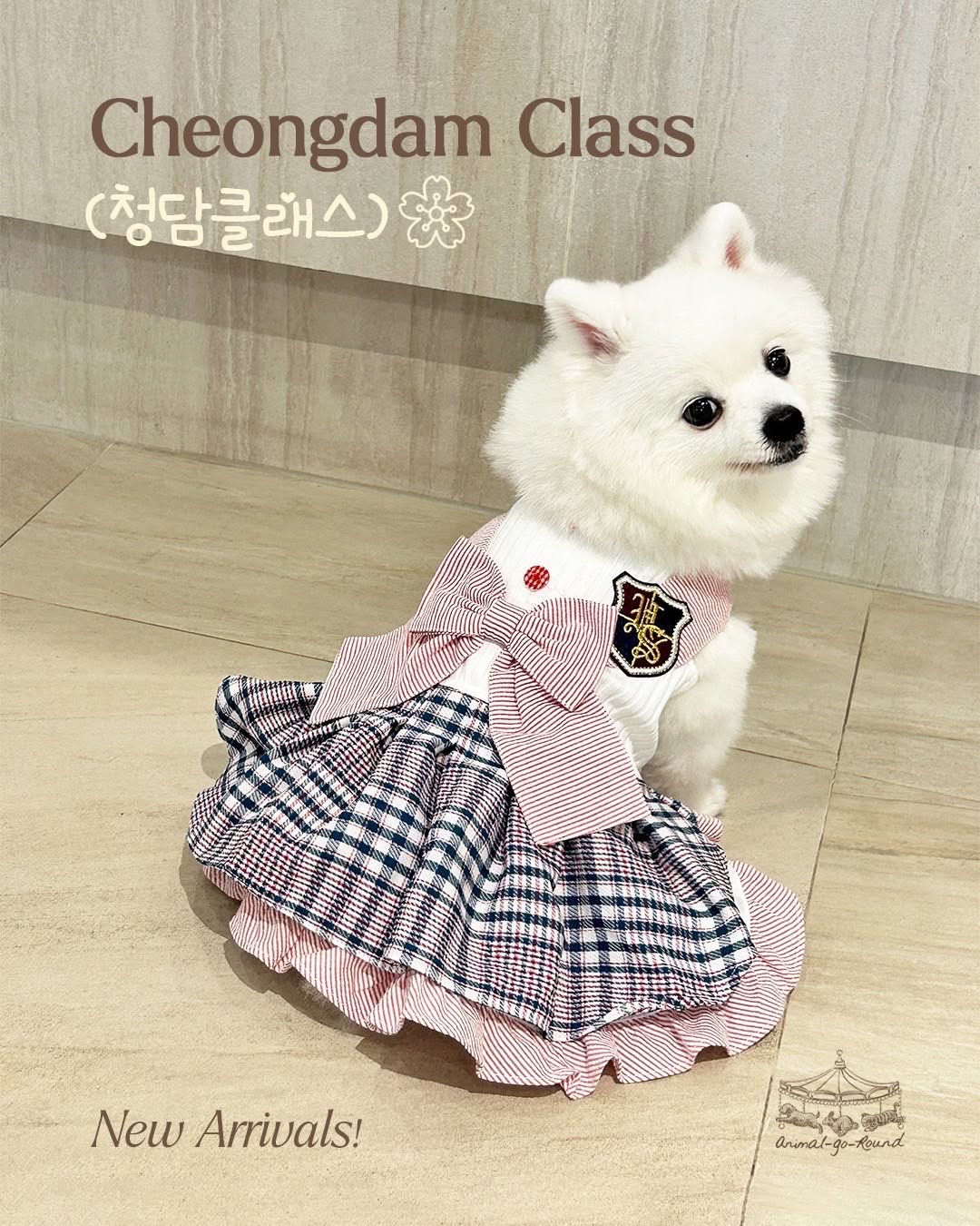 Cheongdam Class Couple