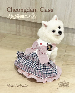 Cheongdam Class Couple