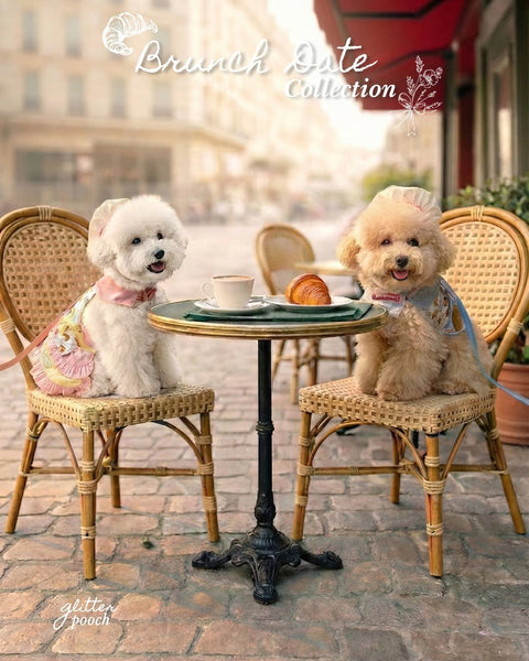 Bon Appetit Couple Harness