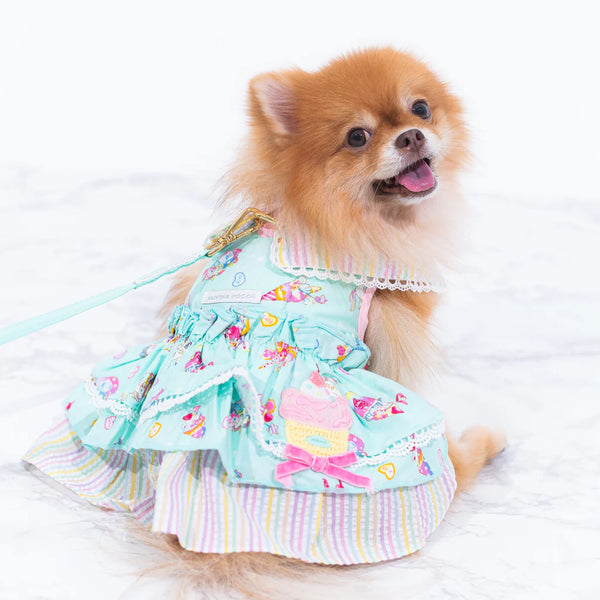 Afternoon Cake Harness