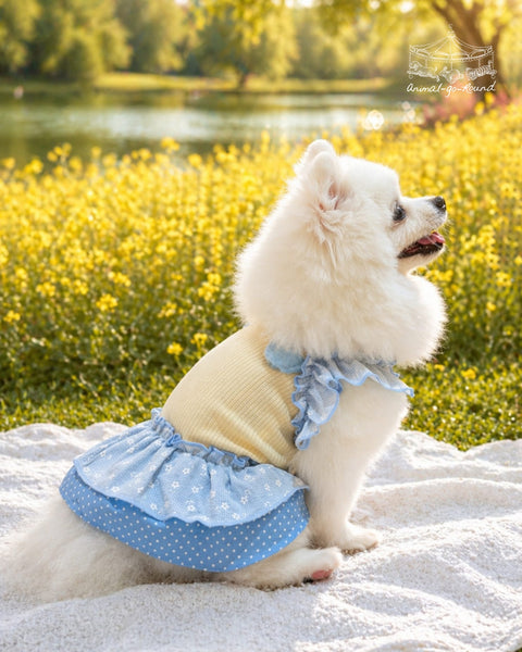 Buttercup Picnic Dress
