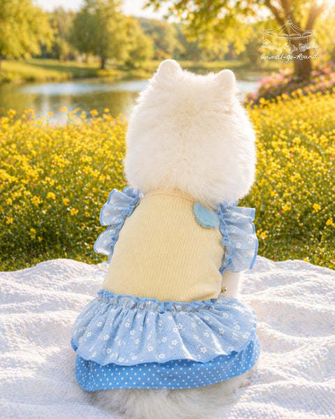 Buttercup Picnic Dress