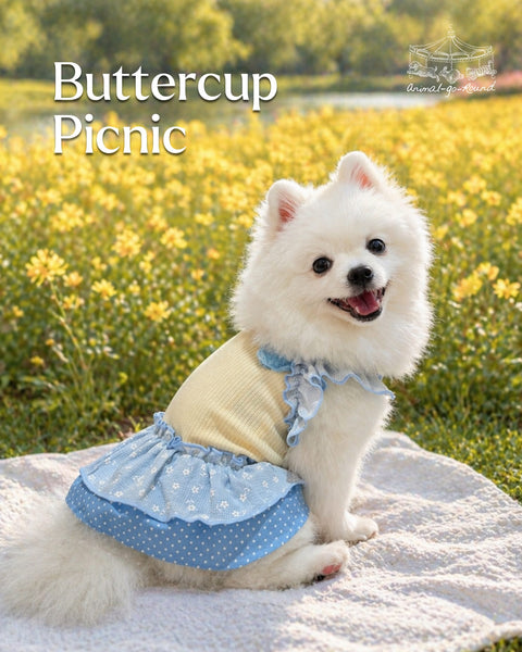 Buttercup Picnic Dress