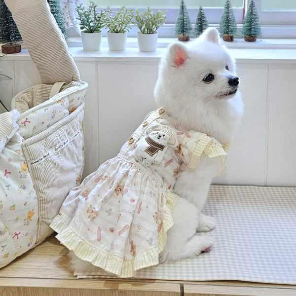 Honey Teddy Collection