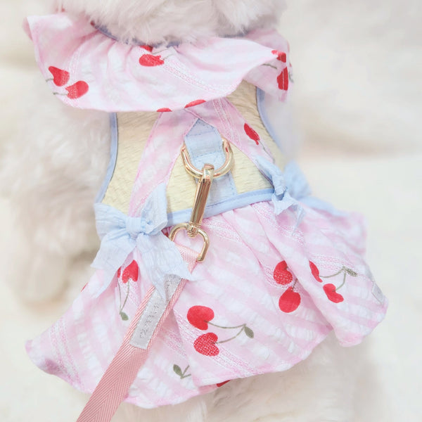 Cherry Dream Couple Harness