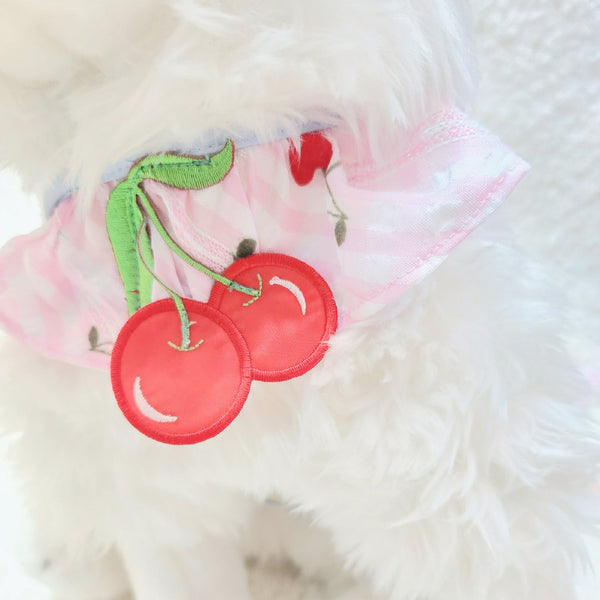 Cherry Dream Couple Harness