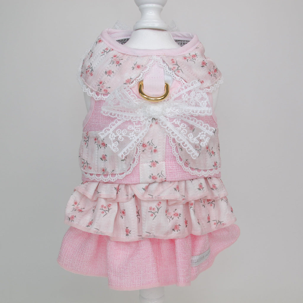 Middleton in Love Harness