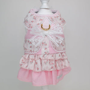 Middleton in Love Harness