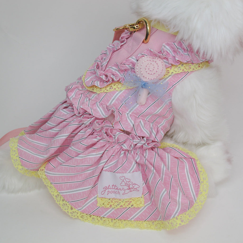 Summer Lollipop Harness