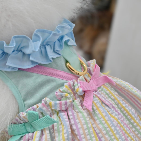 Vacay Ready Girl Harness