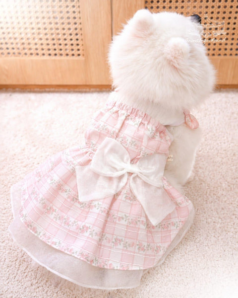 Ribbon Delight Dress