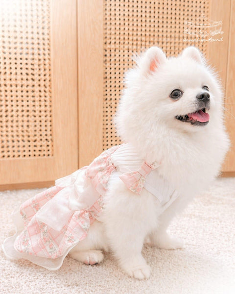 Ribbon Delight Dress