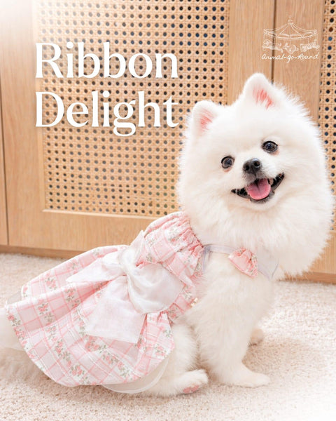 Ribbon Delight Dress