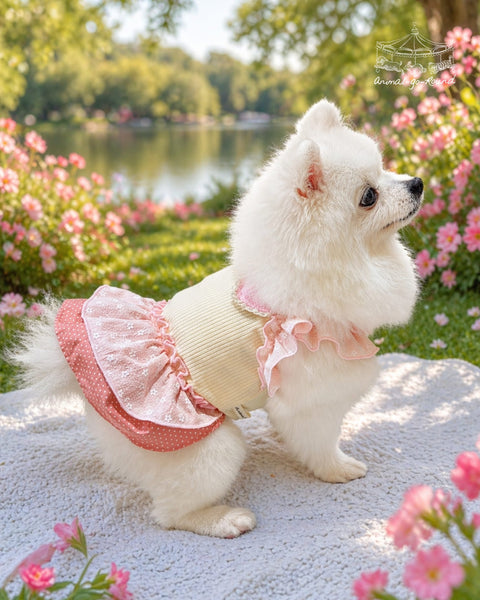Smiley Picnic Dress