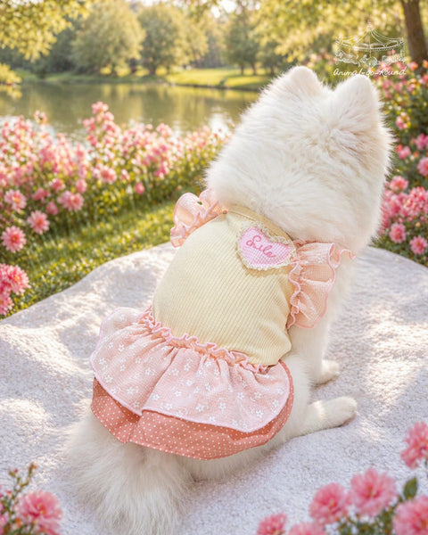 Smiley Picnic Dress
