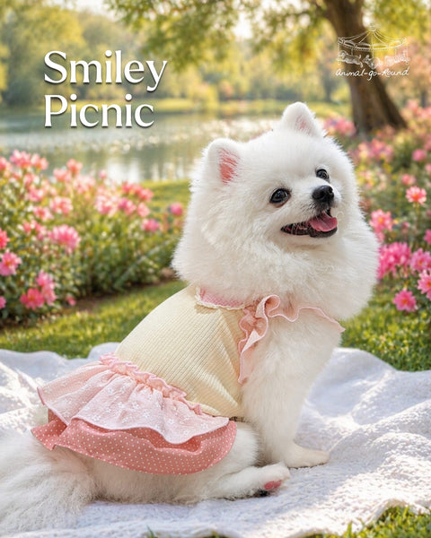 Smiley Picnic Dress