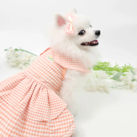 Taffy Floret Dress