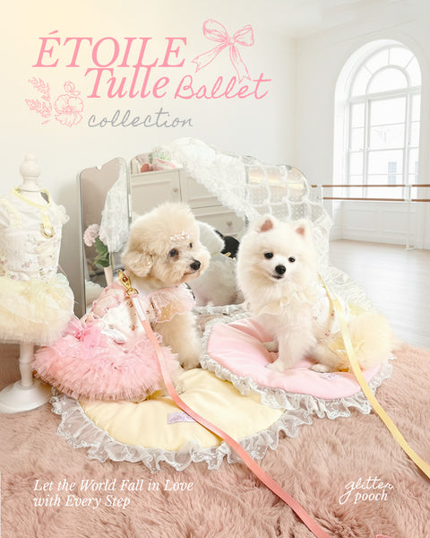 Étoile Tulle Ballet Harness