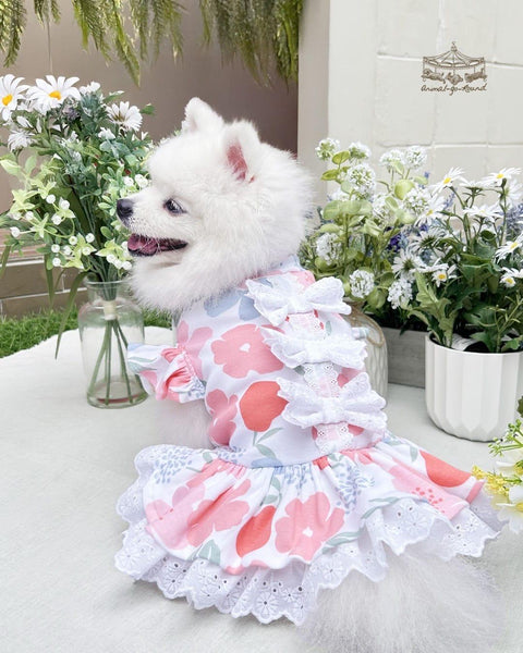 Garden Waltz Dress