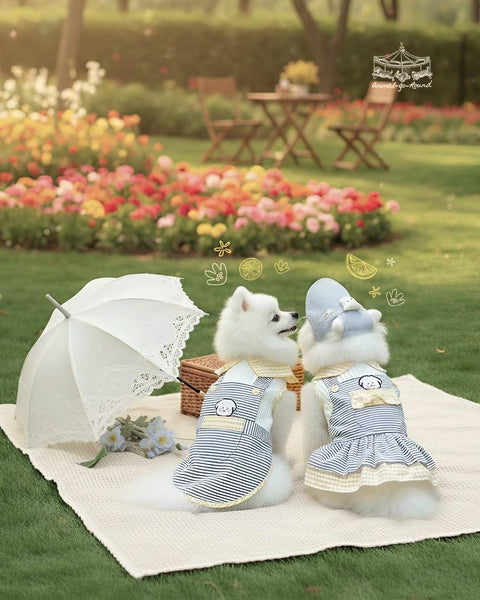 Lemonade Picnic Couple