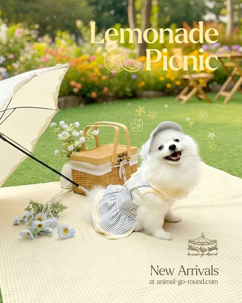 Lemonade Picnic Couple