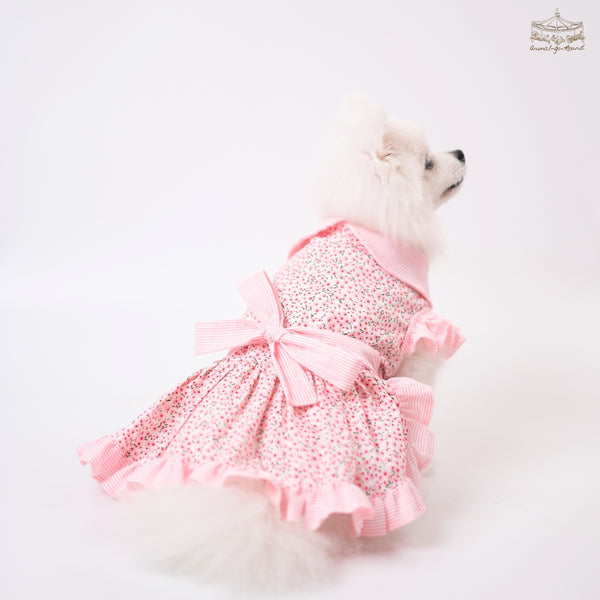 Baby Bloom Pink Dress