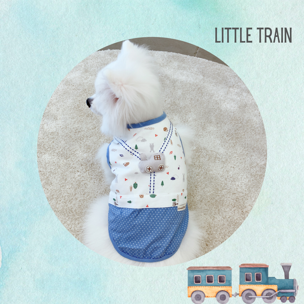 Little Train Couple