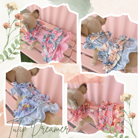 Tulip Dreamer Harness