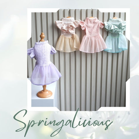 Springalicious Dress
