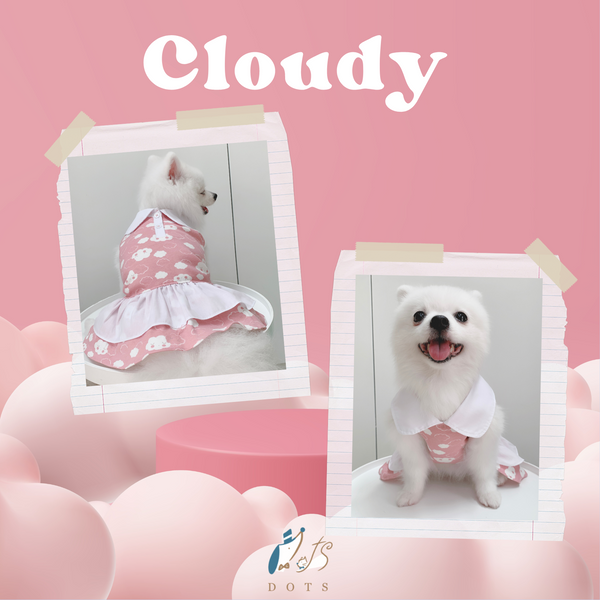 Cloudy Couple