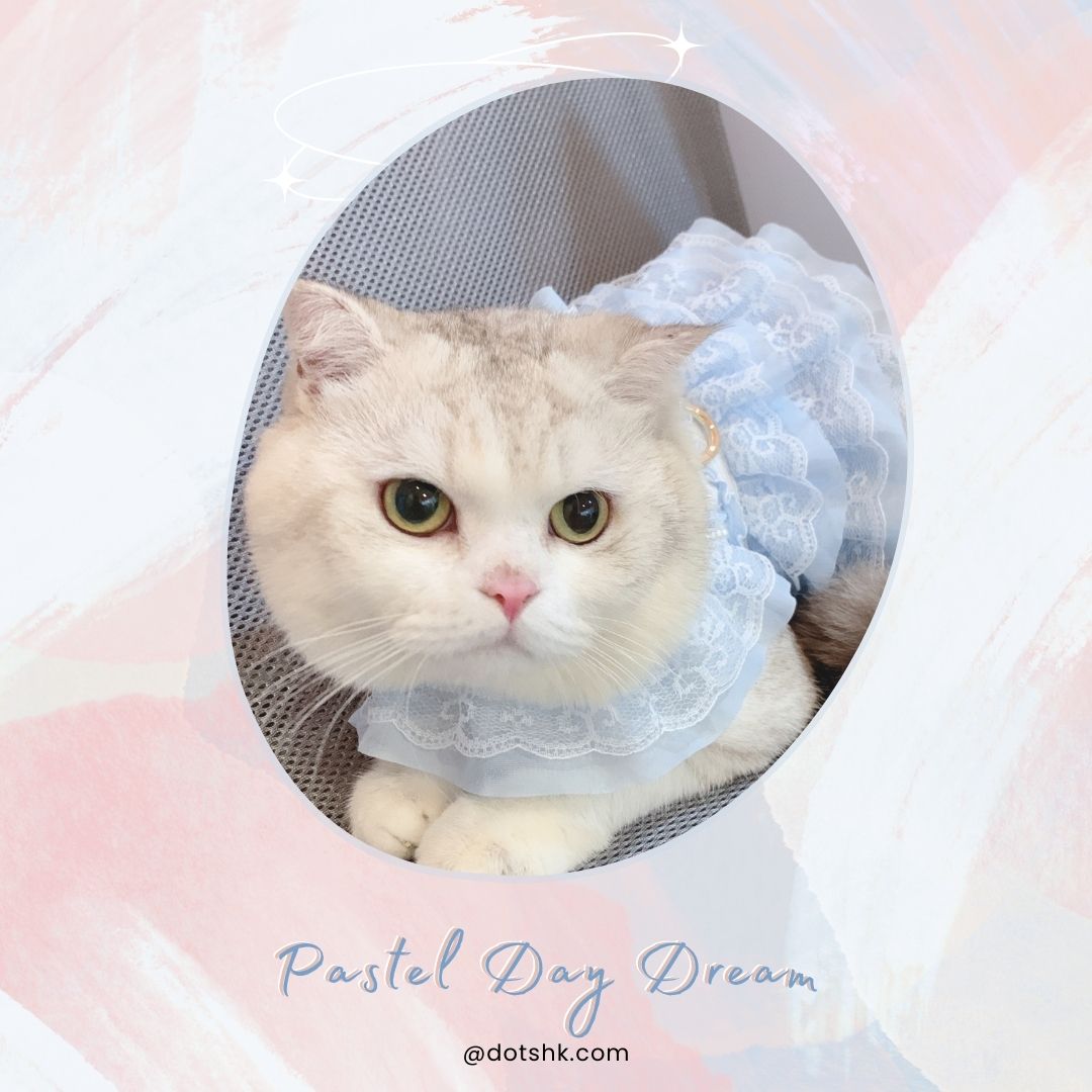 Pastel Dream Harness (3 Colors)