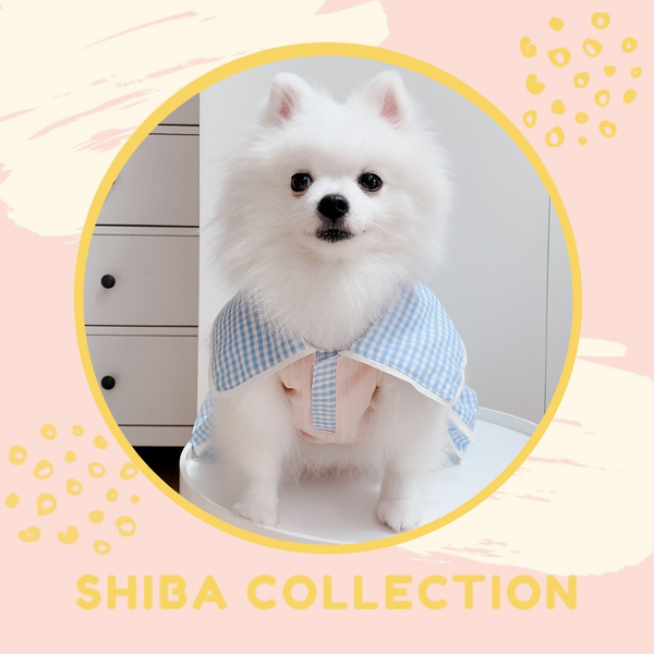 Shiba Couple Set