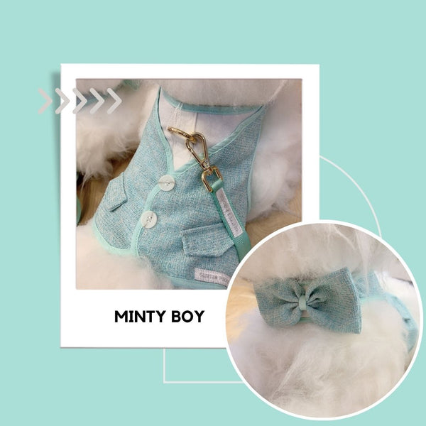 Minty Couple Harness