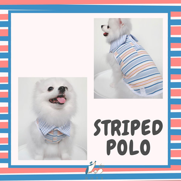 Striped Polo Couple