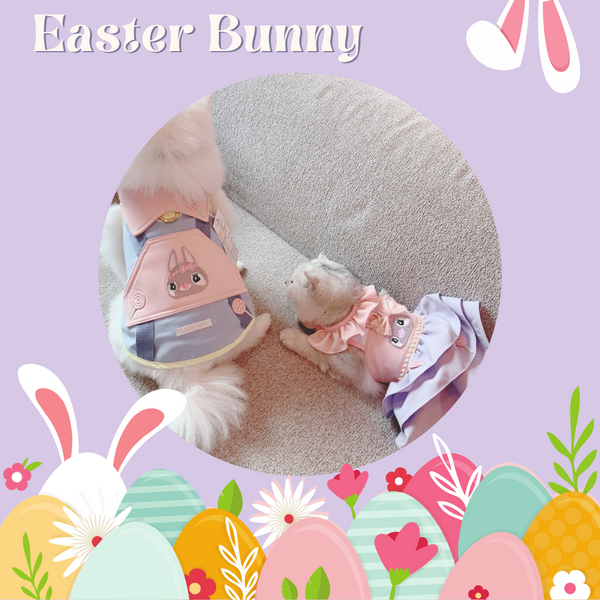 Easter Bunny Couple Harness