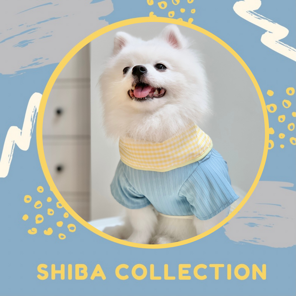 Shiba Couple Set