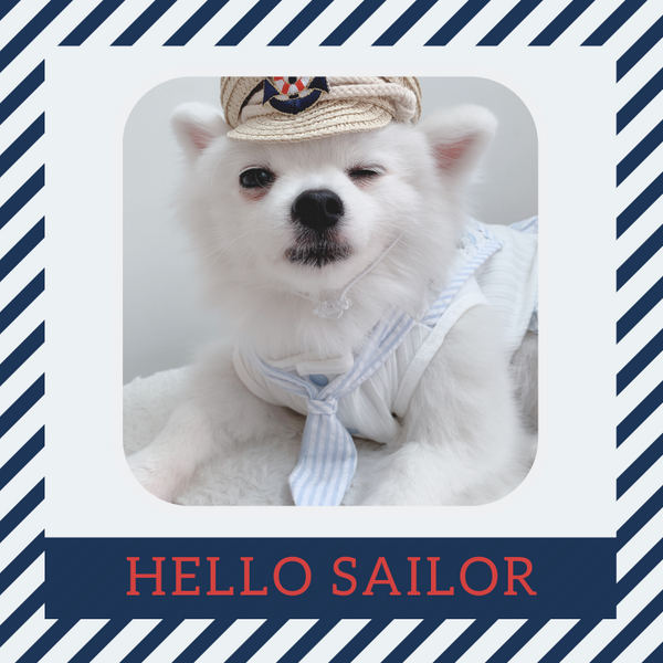 Hello Sailor Couple