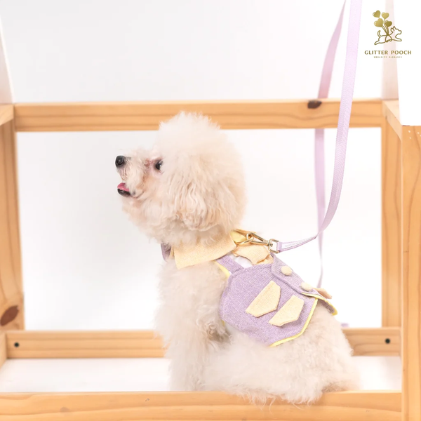 Chiquita Bubble In Purple Couple Harness