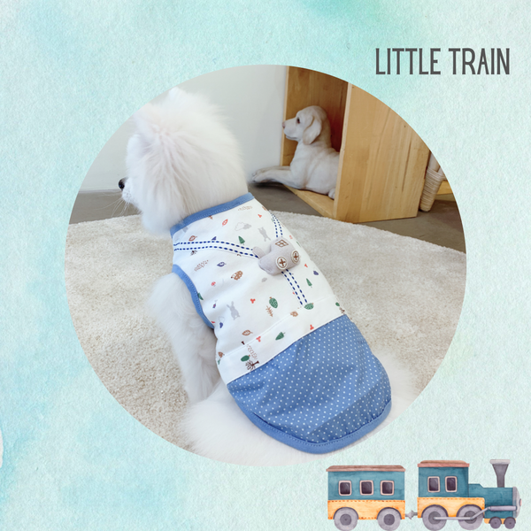 Little Train Couple