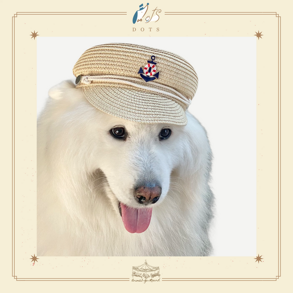 Sailor Hat