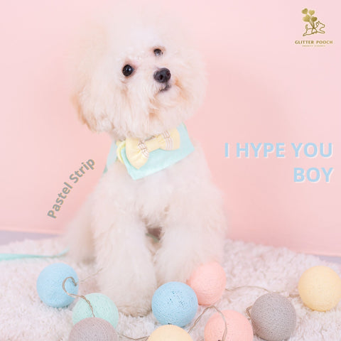 I Hype You Boy - Pastel Strip Mint